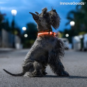 Obroża LED dla zwierząt PETLUX INNOVAGOODS V0103458